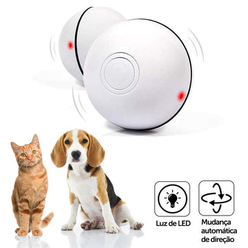 Bola Inteligente com luz de LED para cães e gatos – PetMimos