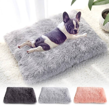 Cobertor em Pelúcia para cachorro e gato - PetMimos