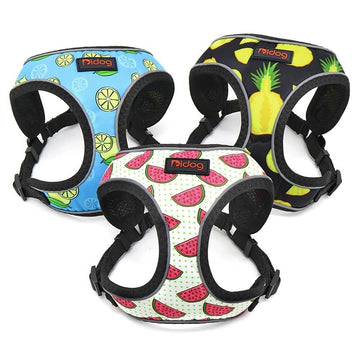 Coleira Peitoral Estampada Elegance para cães e gatos - PetMimos