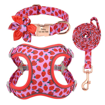 Conjunto Coleira Personalizada, Peitoral e Guia Melody - PetMimos
