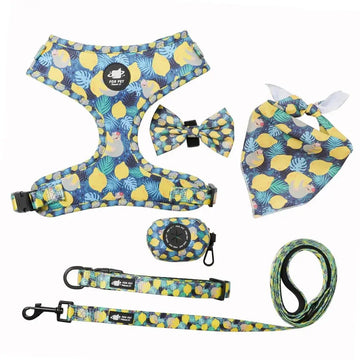 Kit Coleira Peitoral e Acessórios Estampa Limão para cães - PetMimos
