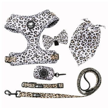 Kit Coleira Peitoral e Acessórios Estampa Oncinha para cães - PetMimos