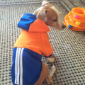 Moletom Esportivo Pet para cães e gatos - PetMimos