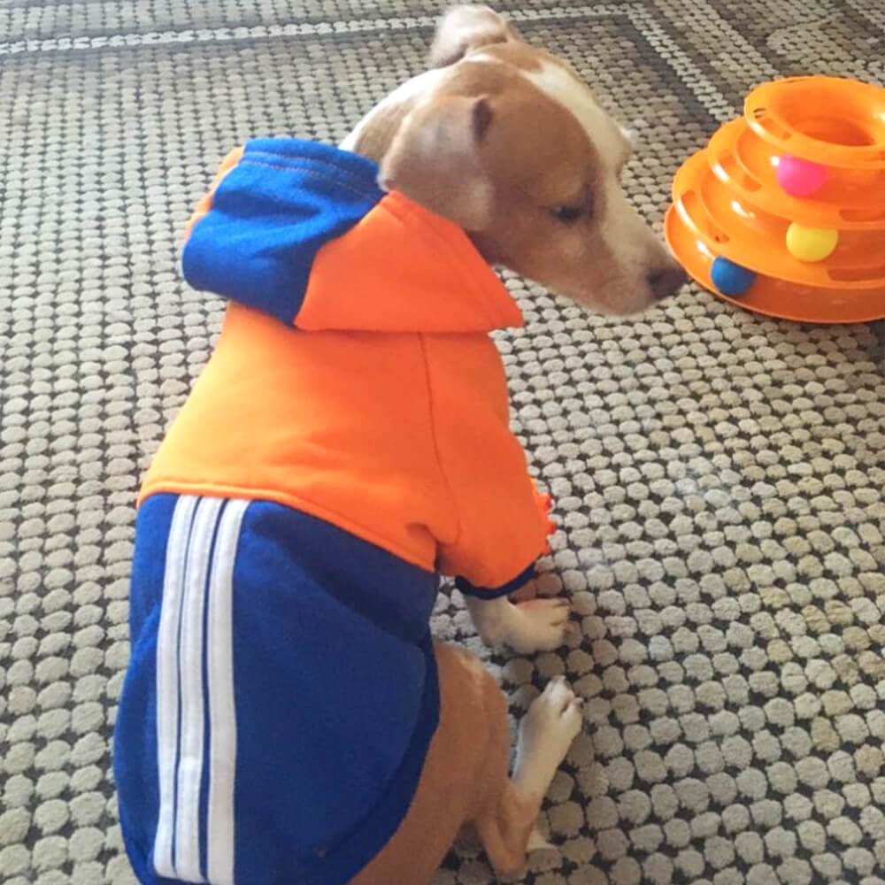 Moletom Esportivo Pet para cães e gatos - PetMimos