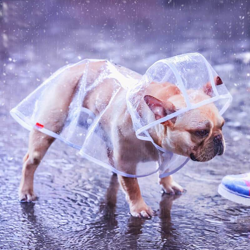 Pet Capa de chuva - PetMimos
