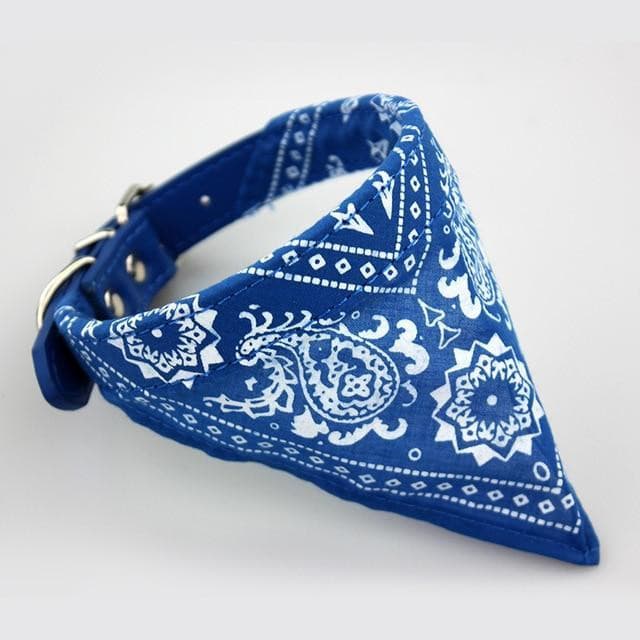 Coleira Bandana para cães e gatos – PetMimos