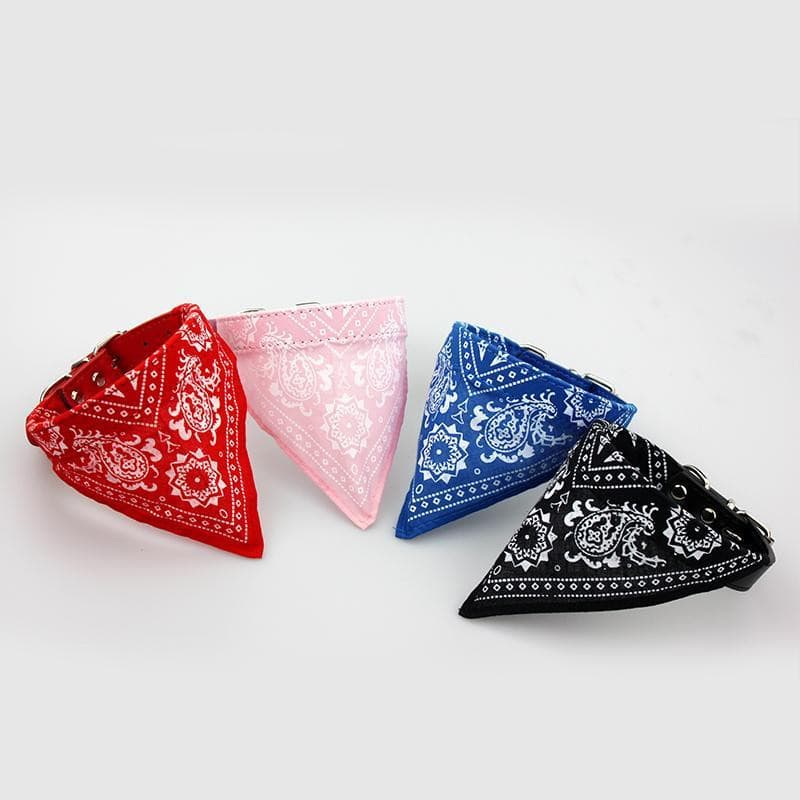 Coleira Bandana para cães e gatos – PetMimos