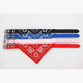 Coleira Bandana para cães e gatos – PetMimos