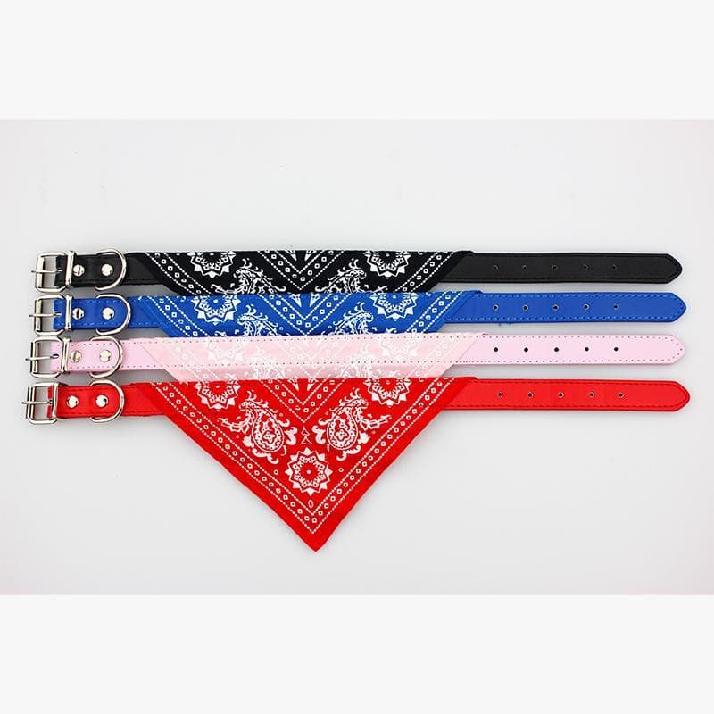 Coleira Bandana para cães e gatos – PetMimos