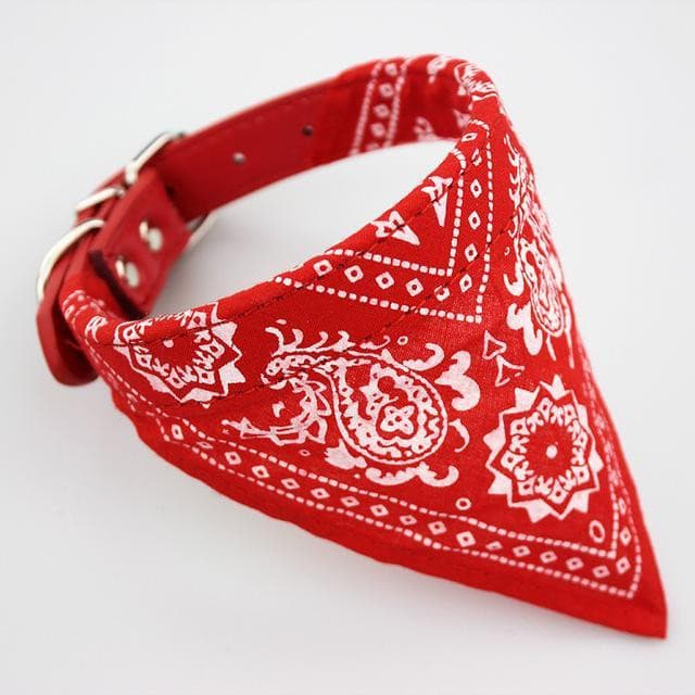Coleira Bandana para cães e gatos – PetMimos