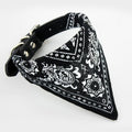 Coleira Bandana para cães e gatos – PetMimos