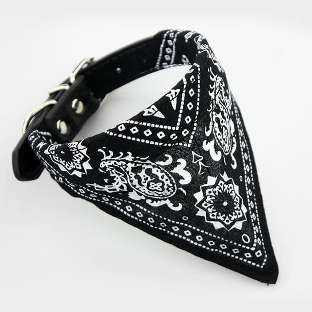 Coleira Bandana para cães e gatos – PetMimos