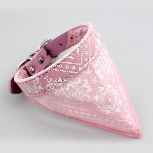 Coleira Bandana para cães e gatos – PetMimos