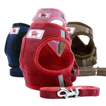 PROMOÇÃO Coleira Peitoral Confort com Guia para cães e gatos - PetMimos