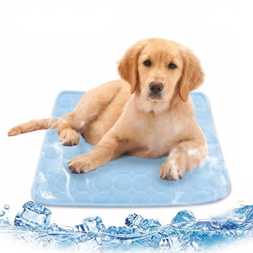 PROMOÇÃO Pet Tapete Gelado para cães e gatos – PetMimos