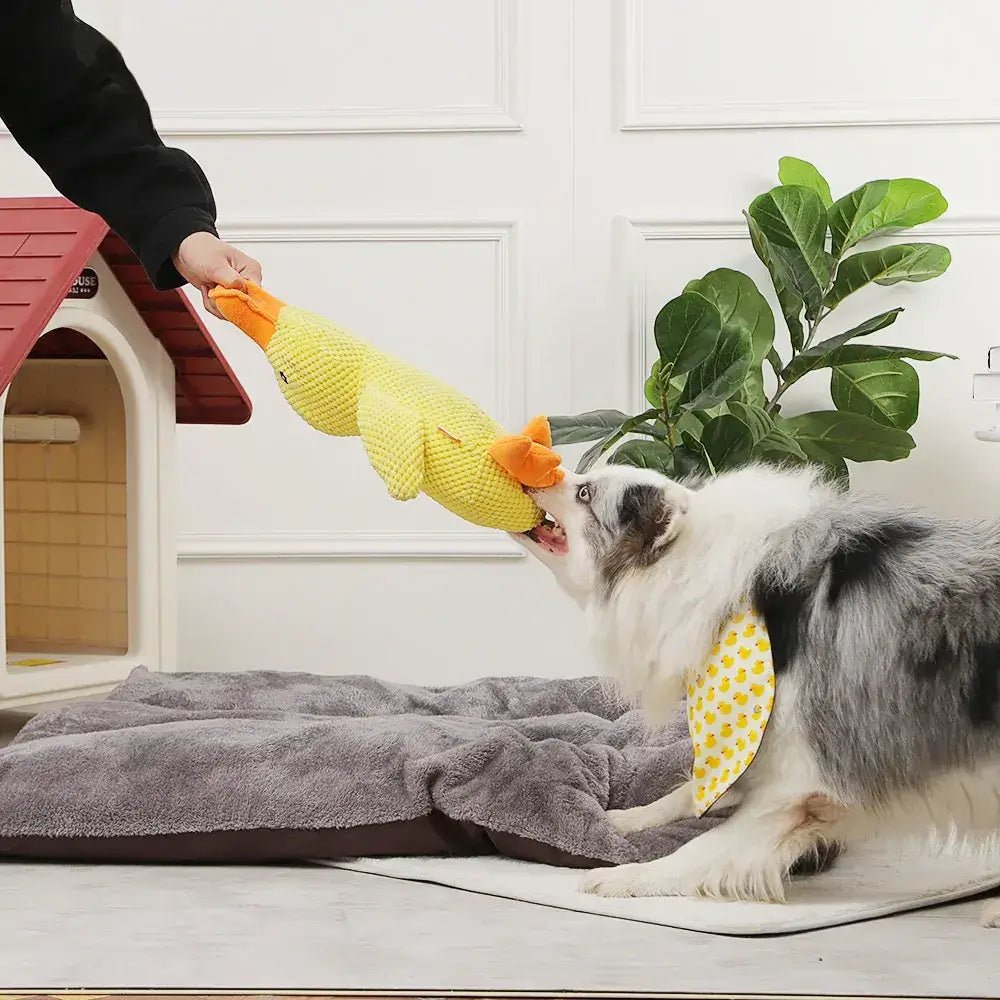 Brinquedo Pato Big em pelúcia para cachorro - PetMimos