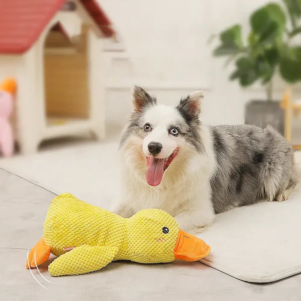 Brinquedo Pato Big em pelúcia para cachorro - PetMimos