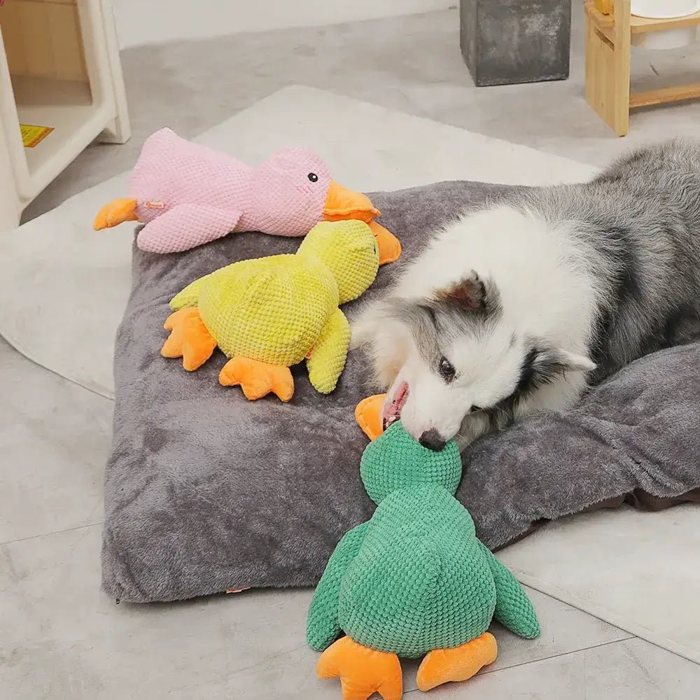 Brinquedo Pato Big em pelúcia para cachorro - PetMimos