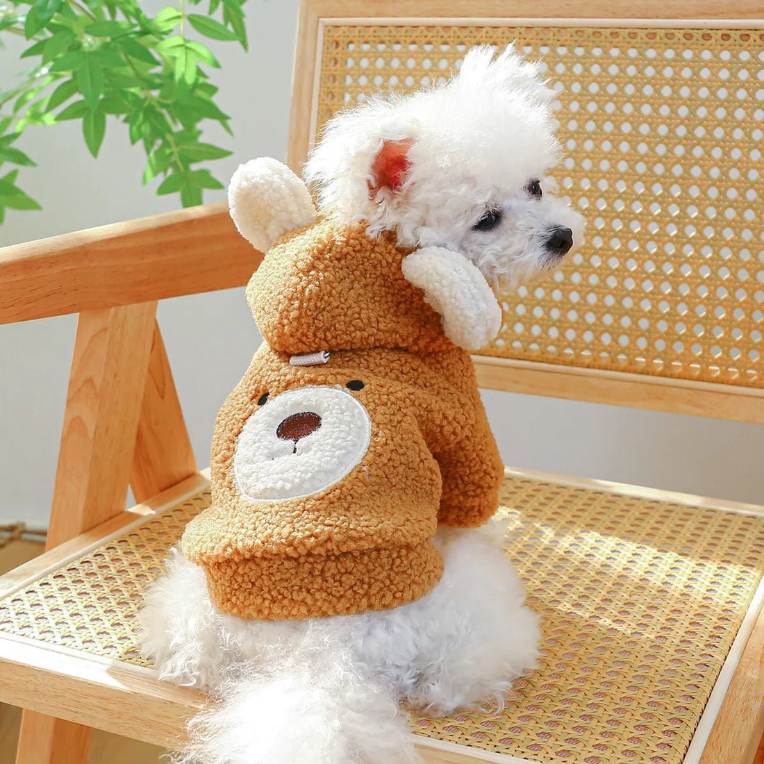 Casaco Pet Plush Ursinho para cachorro - PetMimos