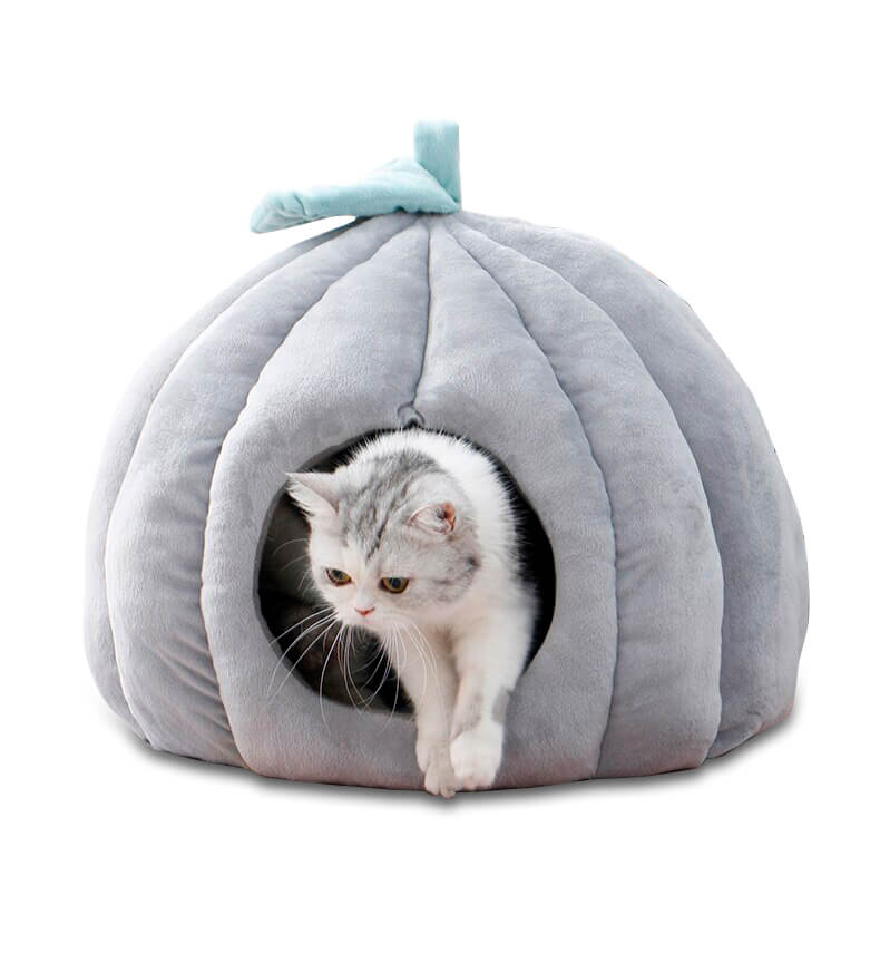 Casinha Iglu para Cachorro e Gato Pumpkin - PetMimos