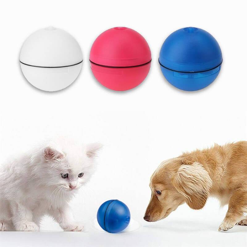 Bola Inteligente com luz de LED para cães e gatos – PetMimos