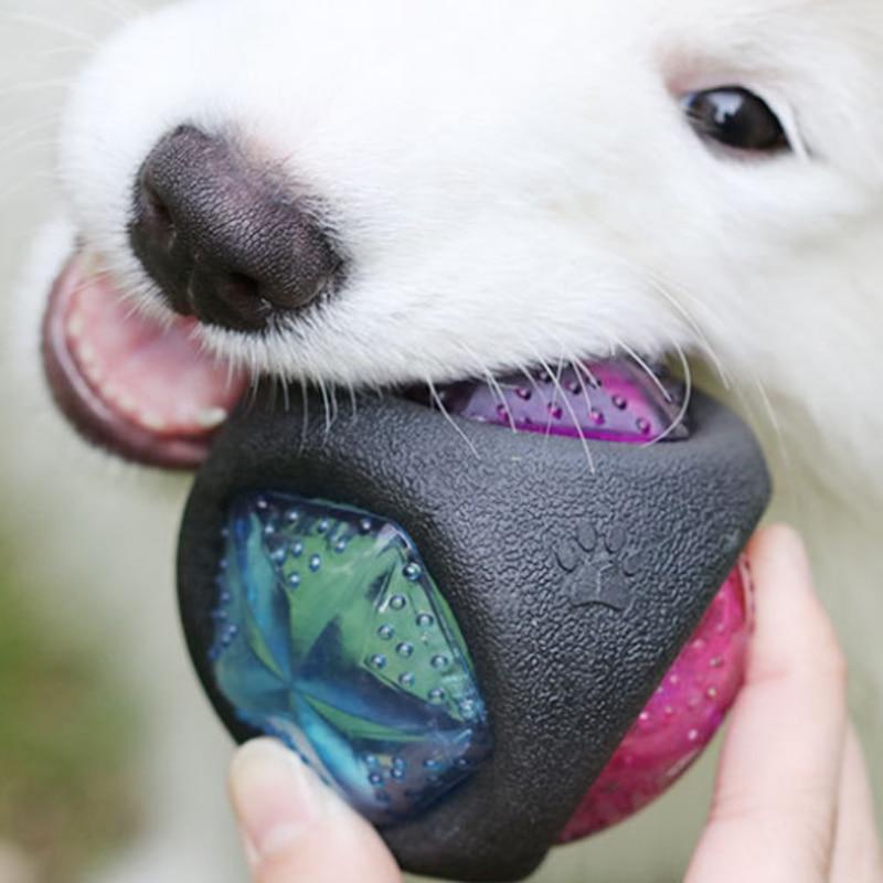 Bola Luminosa com som para cachorro – PetMimos