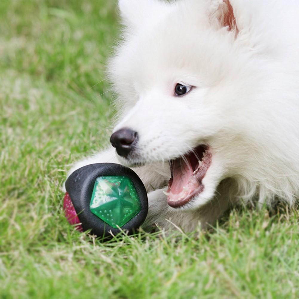 Bola Luminosa com som para cachorro – PetMimos