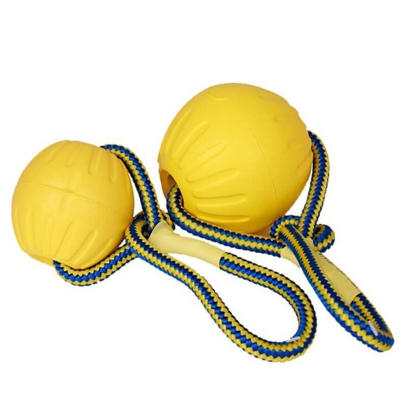 Brinquedo Bola Resistente com Corda para cães – PetMimos