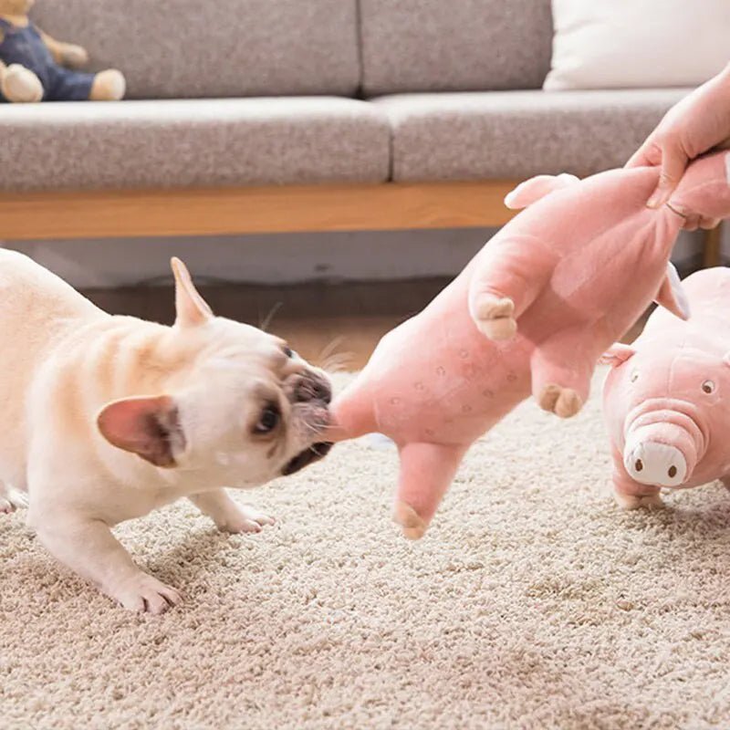 Brinquedo Porco de Pelúcia para cachorro - PetMimos