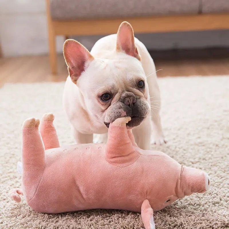 Brinquedo Porco de Pelúcia para cachorro - PetMimos