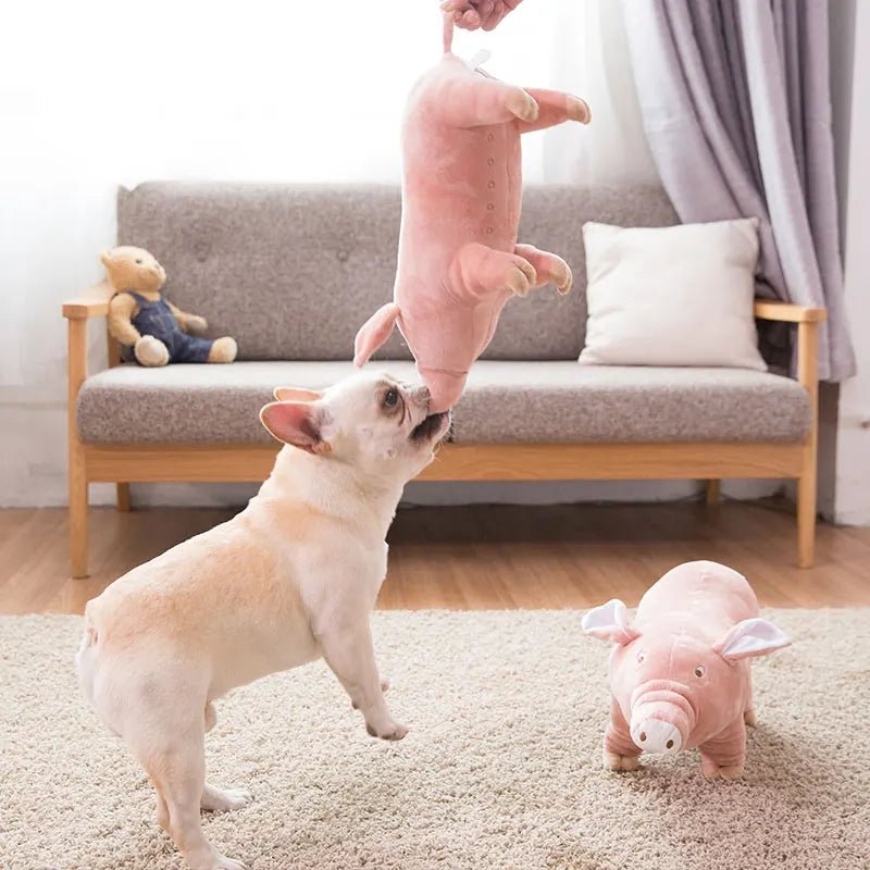 Brinquedo Porco de Pelúcia para cachorro - PetMimos