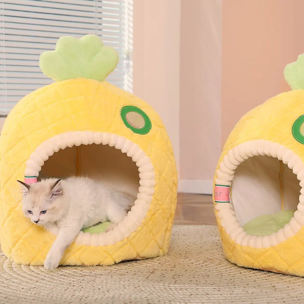 Caminha Iglu Abacaxi Pet para cães e gatos - PetMimos