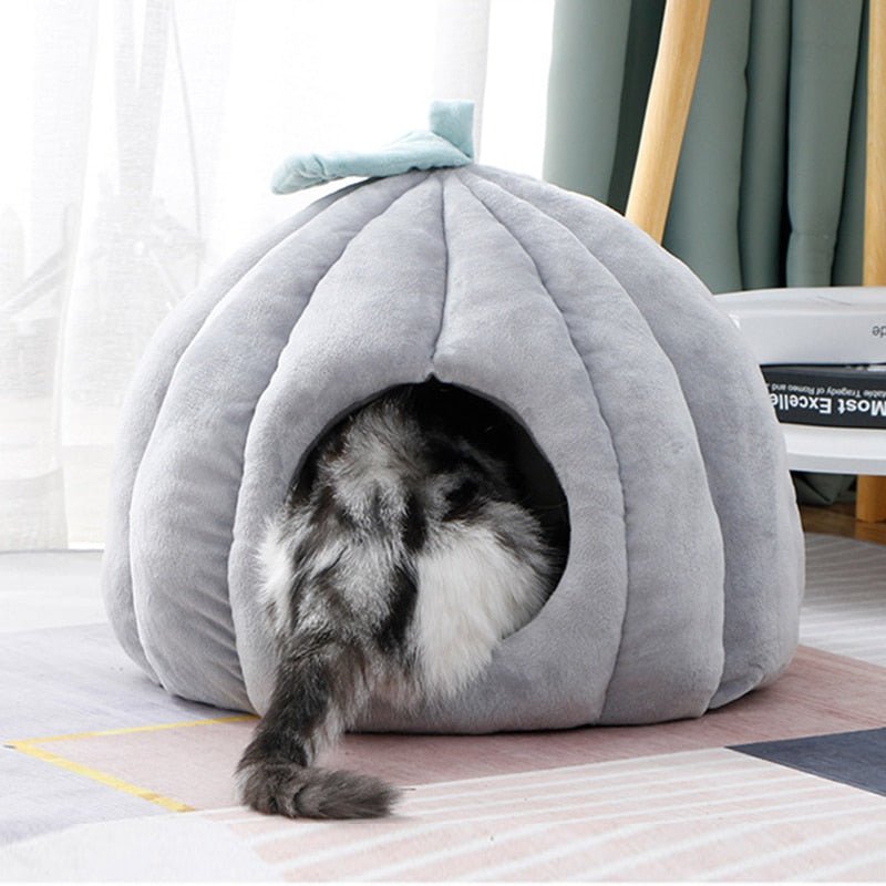 Casinha Iglu para Cachorro e Gato Pumpkin - PetMimos