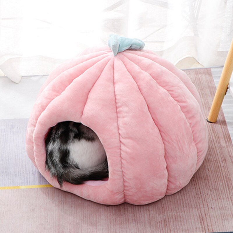 Casinha Iglu para Cachorro e Gato Pumpkin - PetMimos