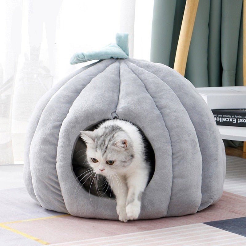 Casinha Iglu para Cachorro e Gato Pumpkin - PetMimos