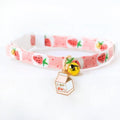 Coleira Personalizada para gatos com pingente Frete Grátis - PetMimos