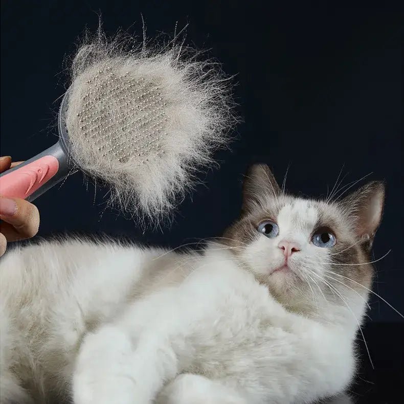 Escova Pet Beauty para cachorro e gato - PetMimos
