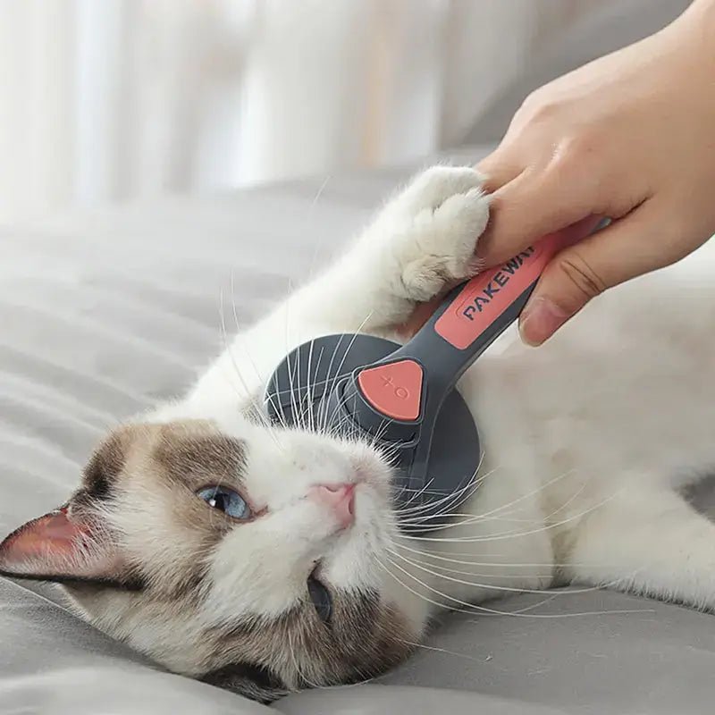 Escova Pet Beauty para cachorro e gato - PetMimos