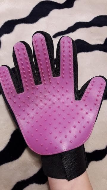 Luva Removedora de Pelos Pet – PetMimos