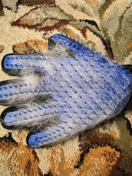 Luva Removedora de Pelos Pet – PetMimos