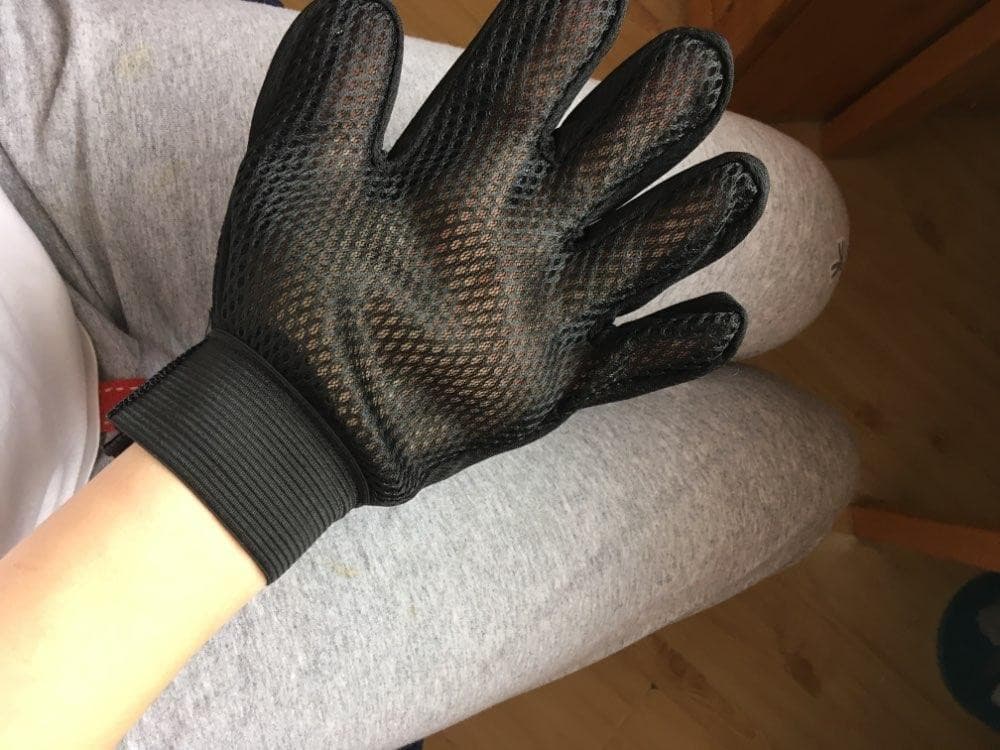 Luva Removedora de Pelos Pet – PetMimos