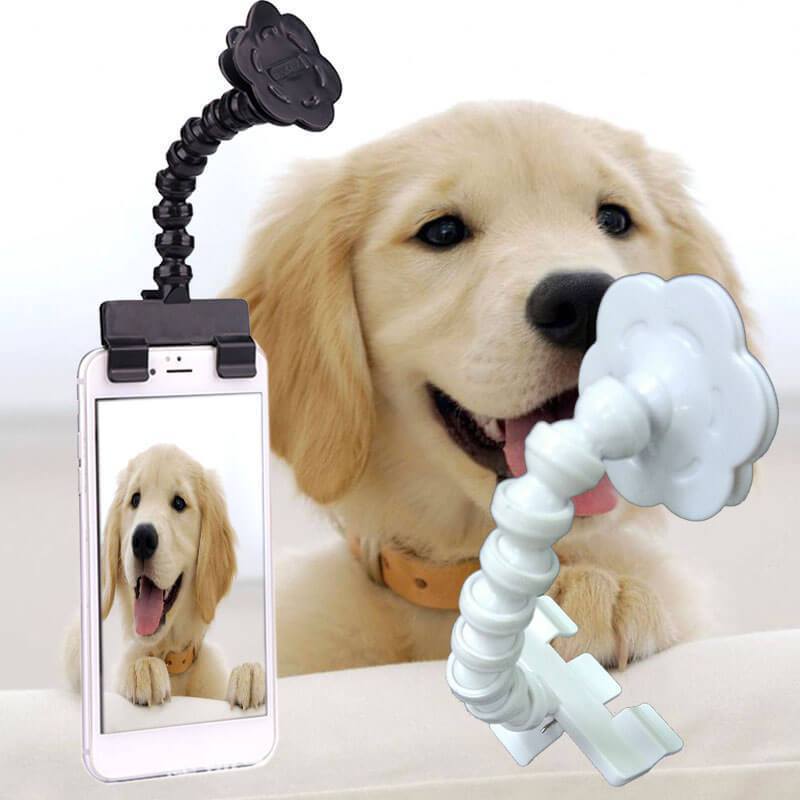 Pet Selfie Stick para cachorro e gato - PetMimos